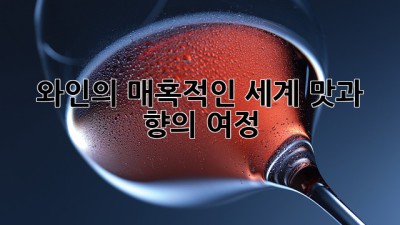 와인의 매혹적인 세계: 맛과 향의 여정