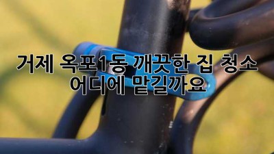 거제 옥포1동 깨끗한 집 청소, 어디에 맡길까요?